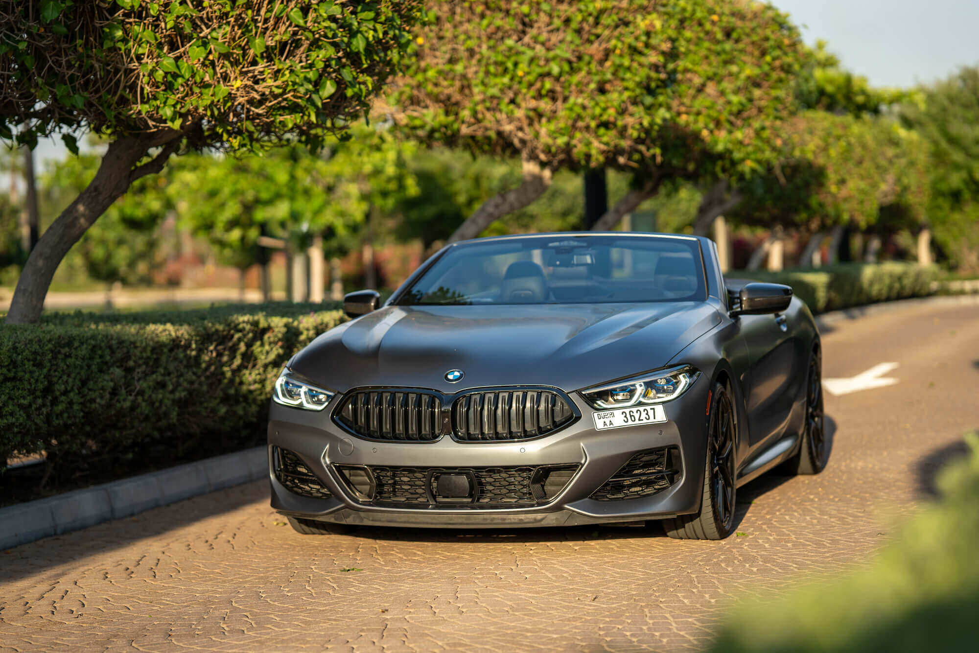 BMW M850I Grey