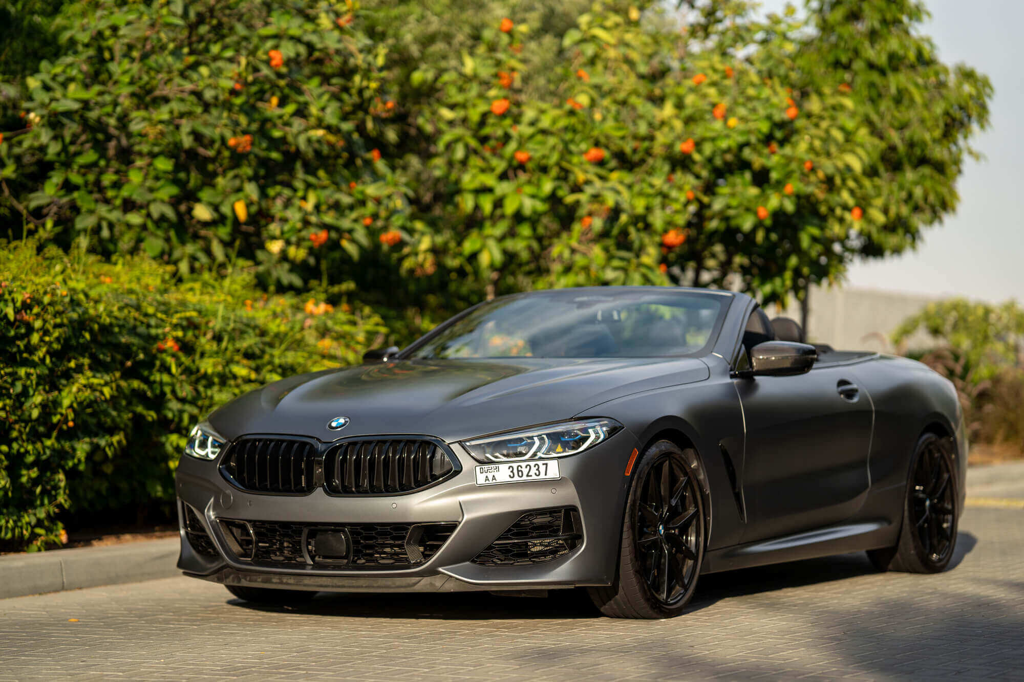 BMW M850I Grey