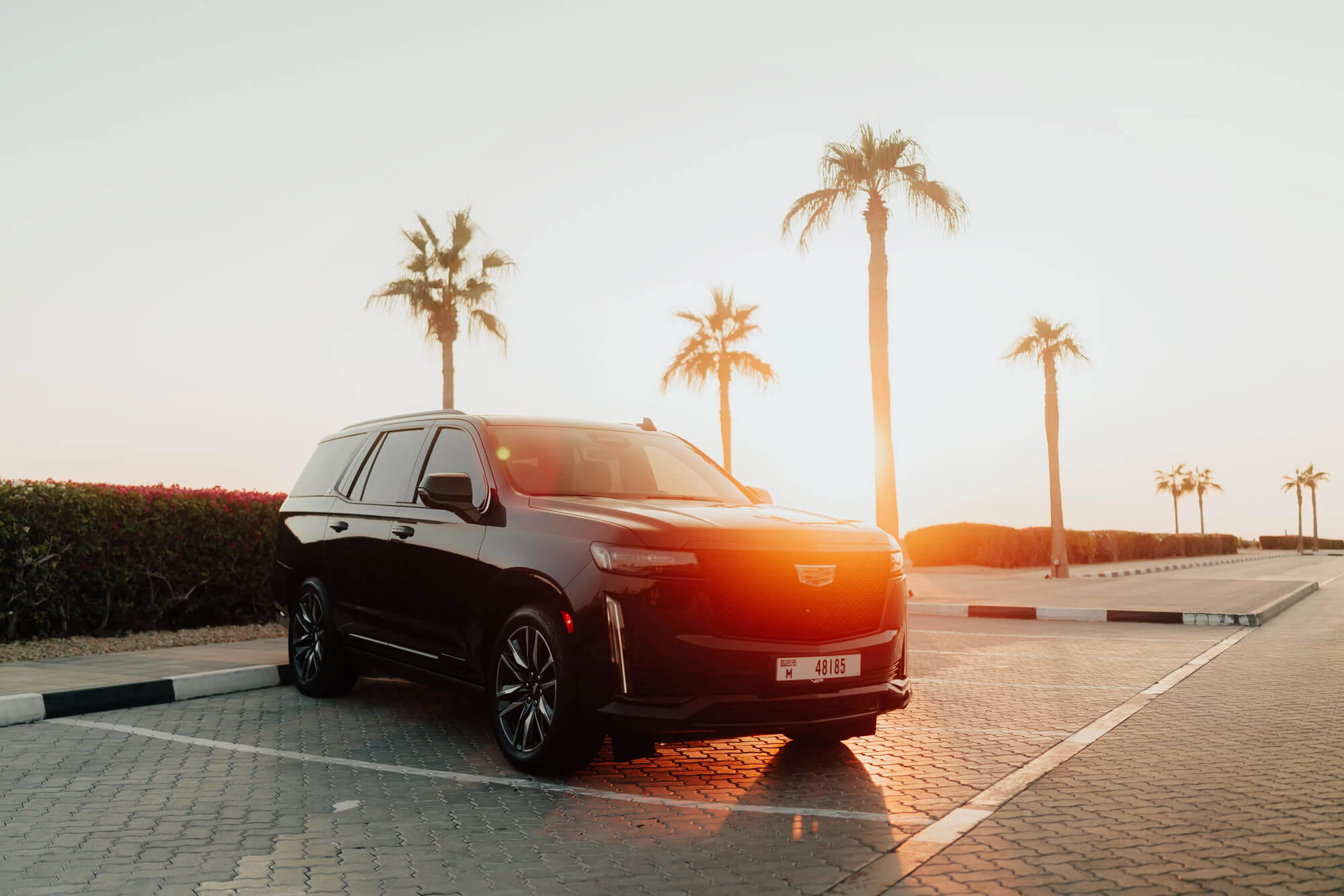 Cadillac Escalade Black