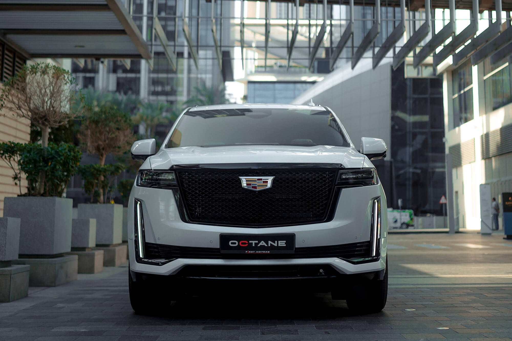 Cadillac Escalade White