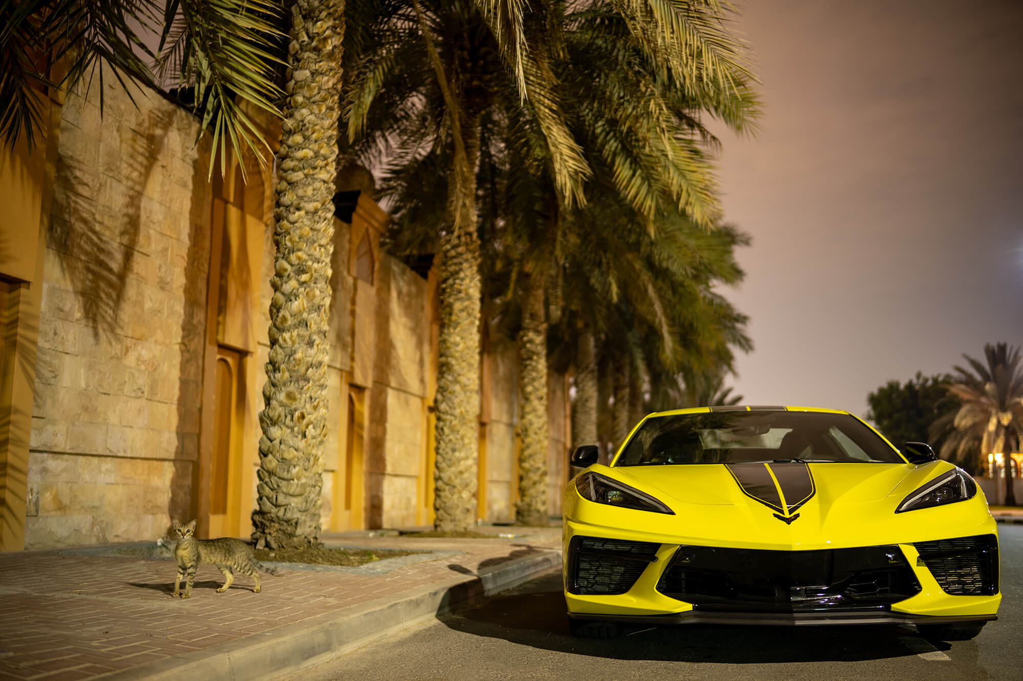 Chevrolet Corvette C8 R Edition