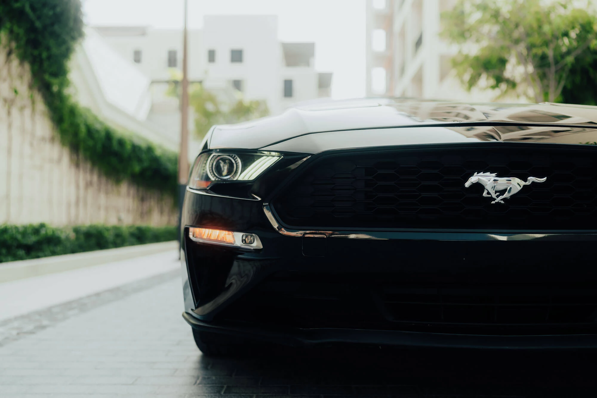 Ford Mustang 2021 Black