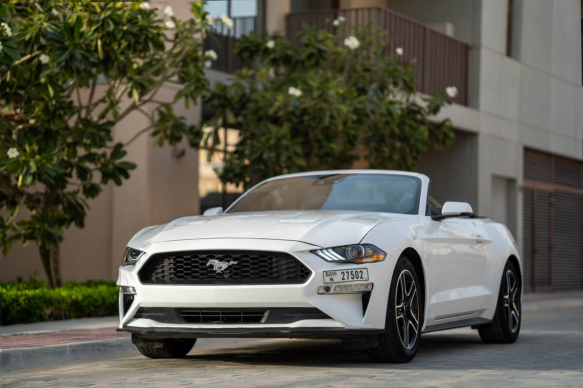 Ford Mustang White Convertible