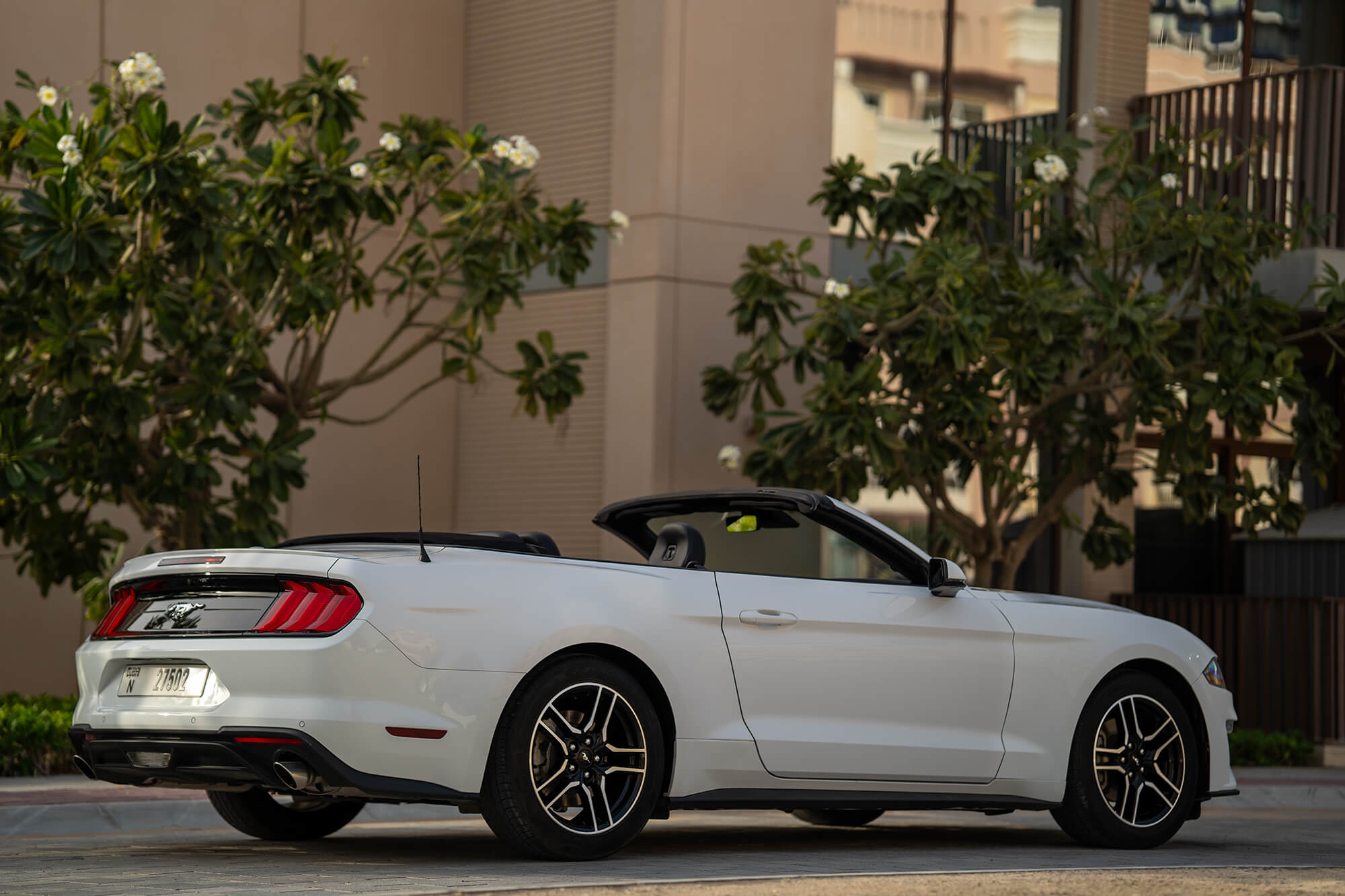 Ford Mustang White Convertible