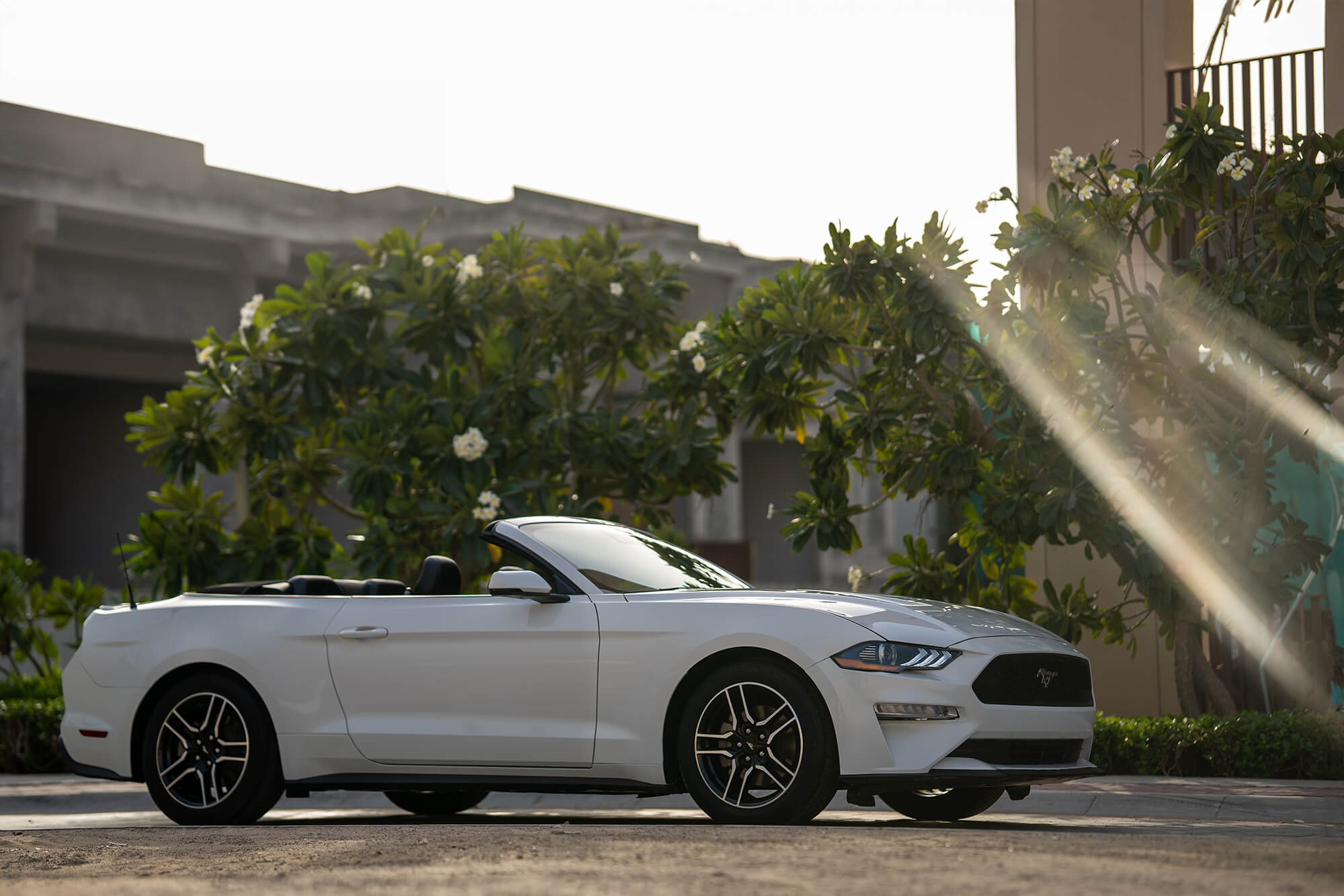 Ford Mustang White Convertible