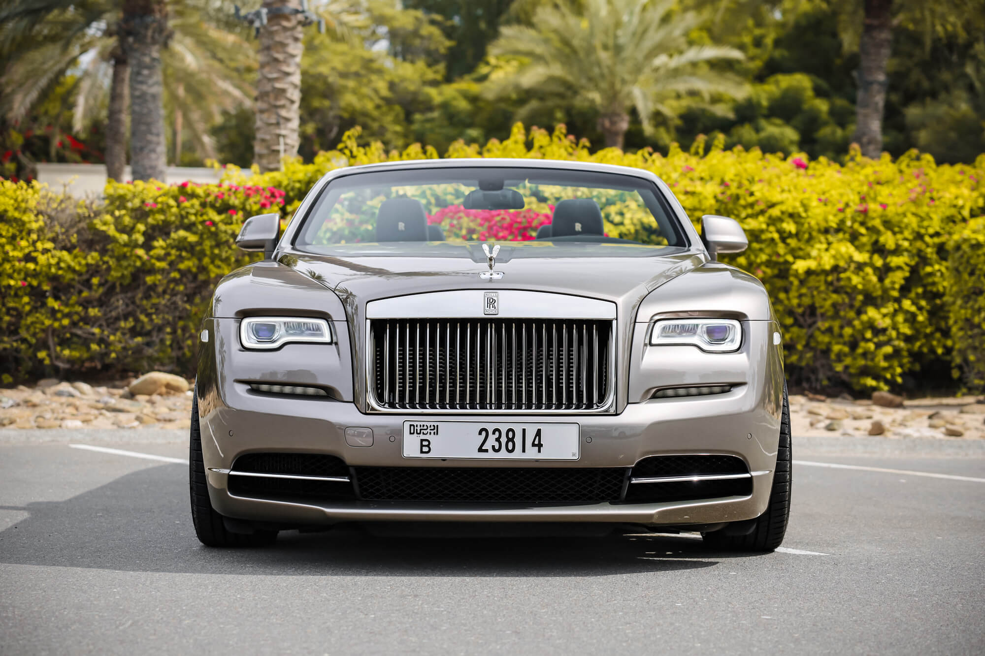 Rolls-Royce Dawn Grey