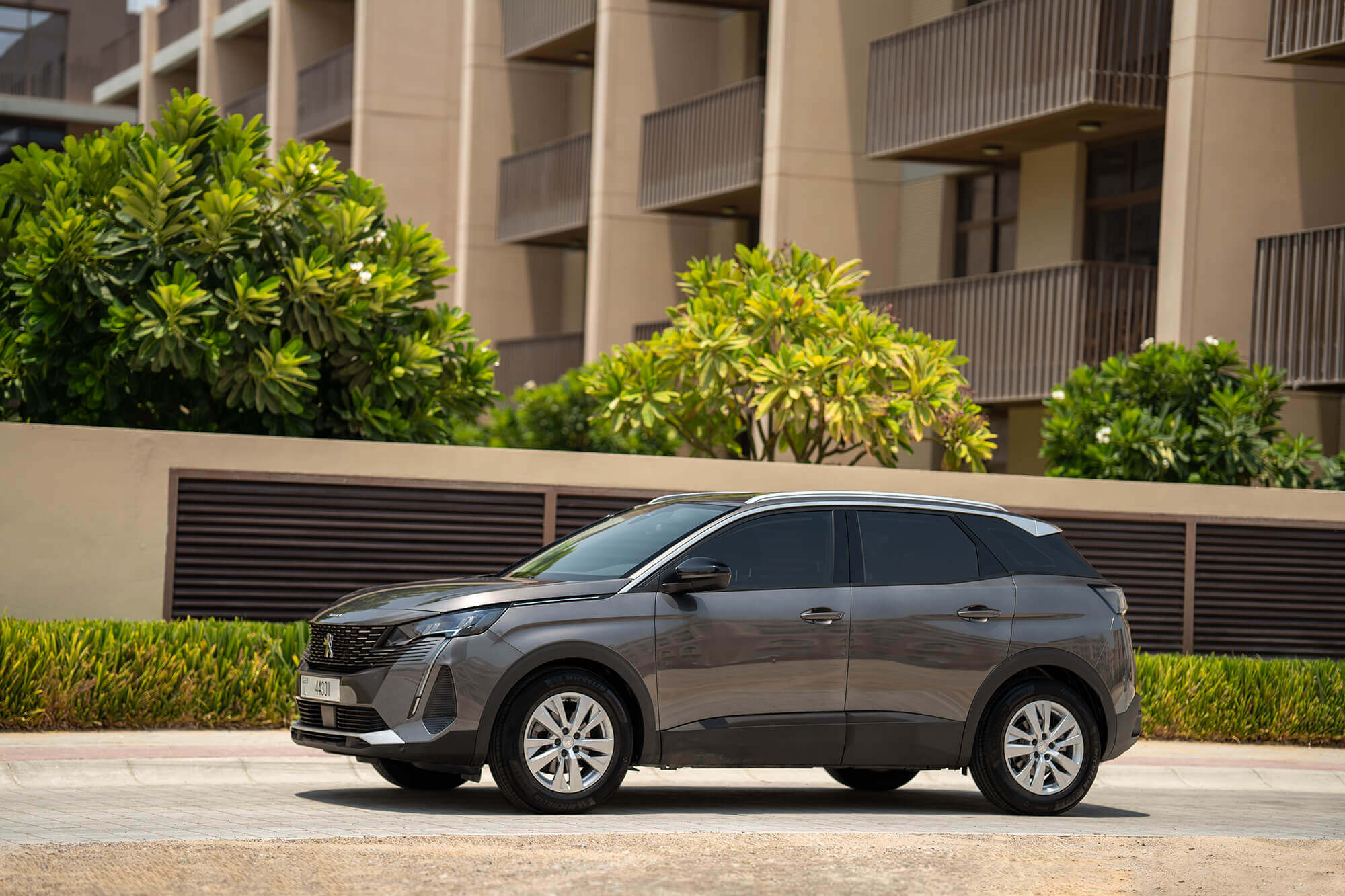 Peugeot 3008 Grey