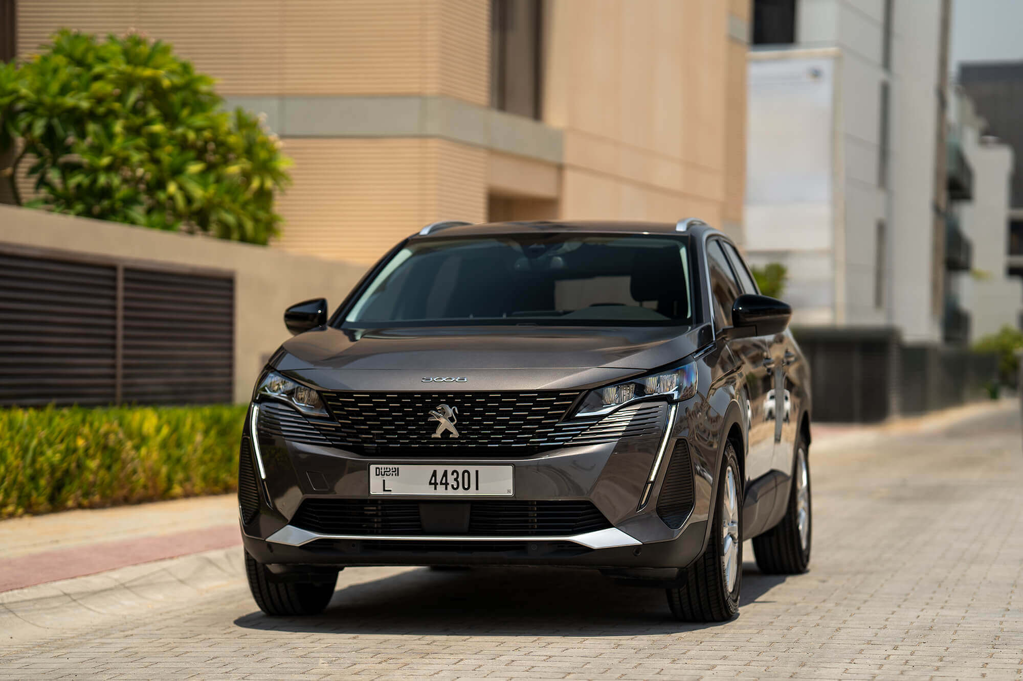 Peugeot 3008 Grey