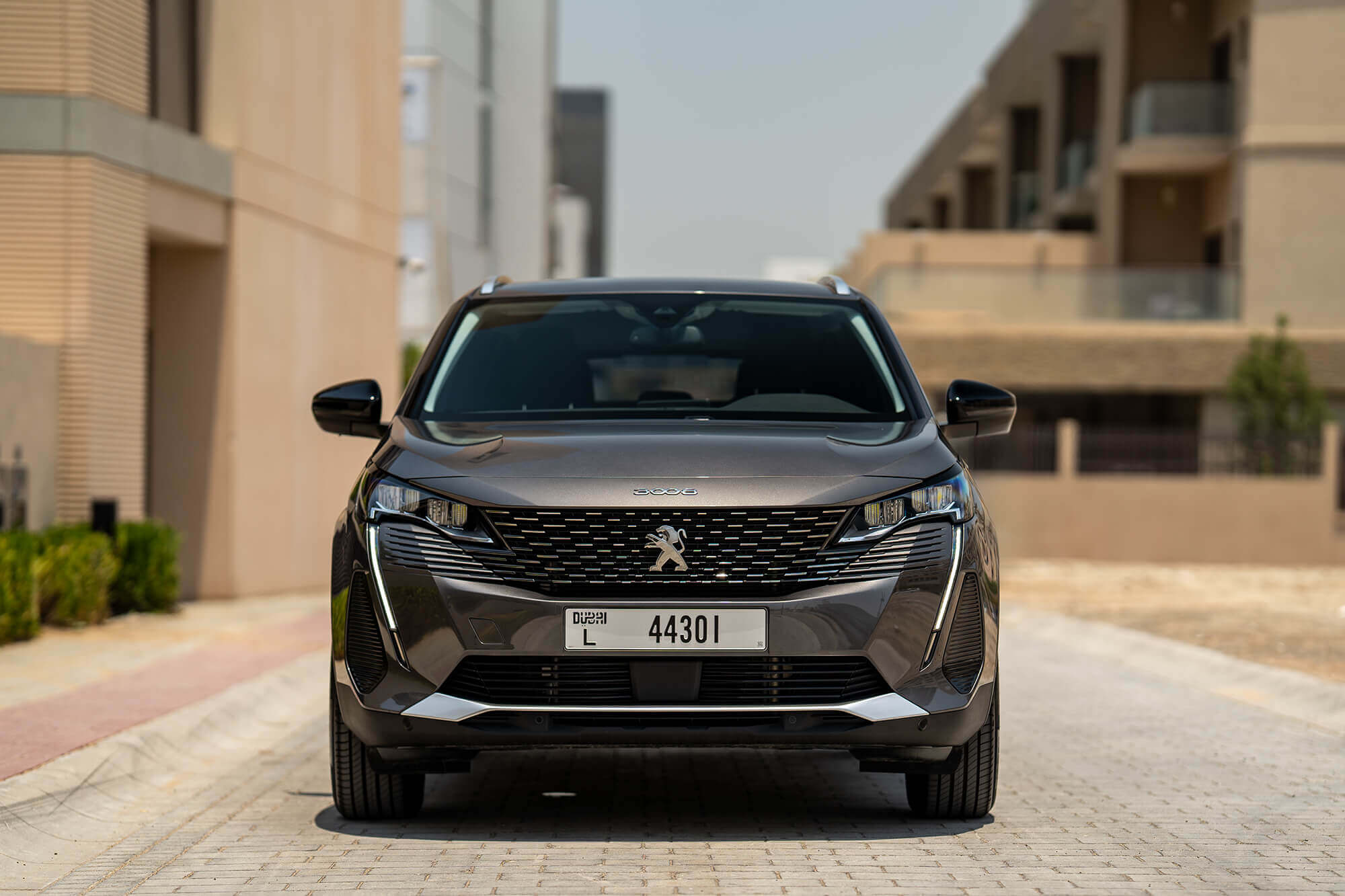 Peugeot 3008 Grey